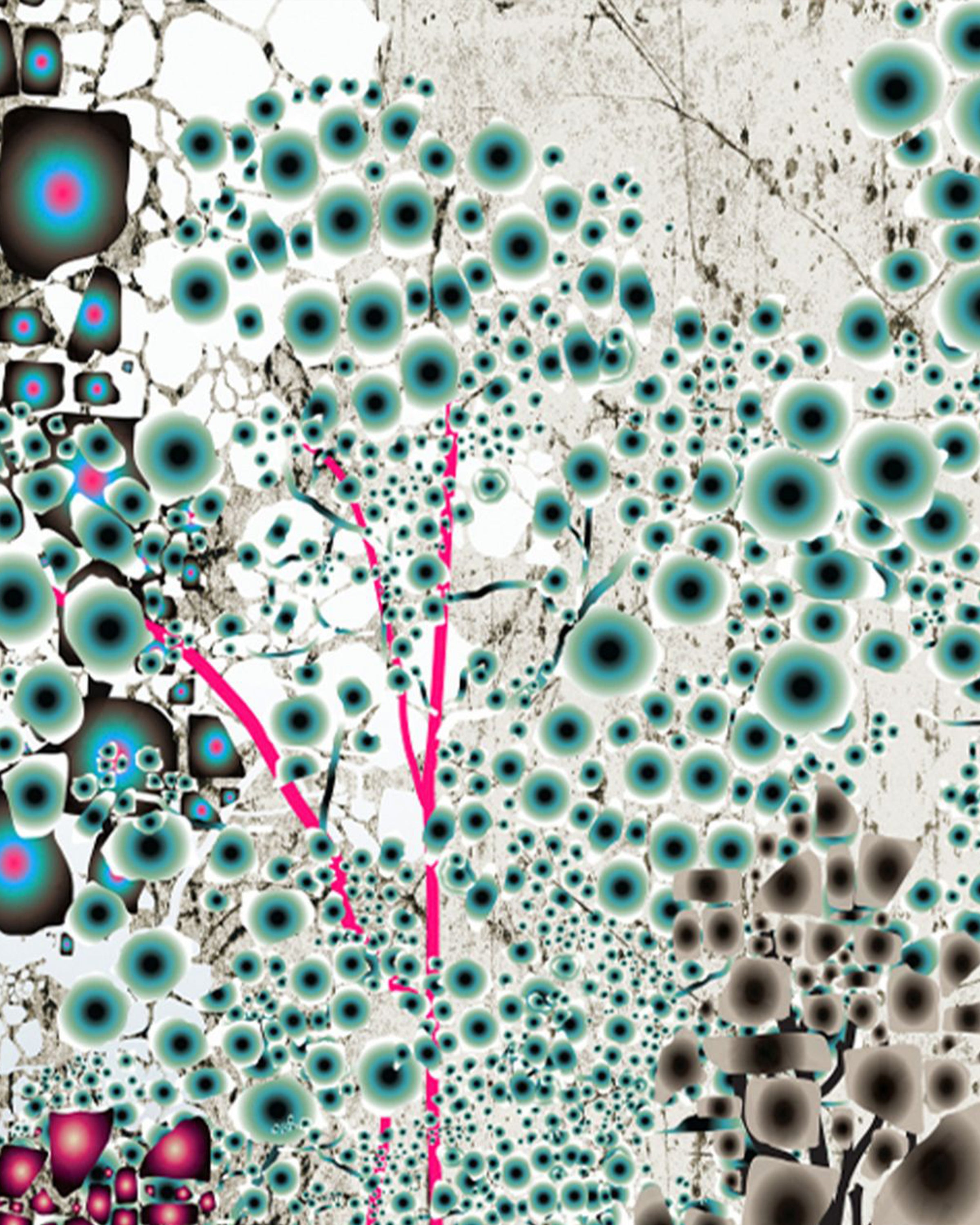 Birch Wallpaper Sample