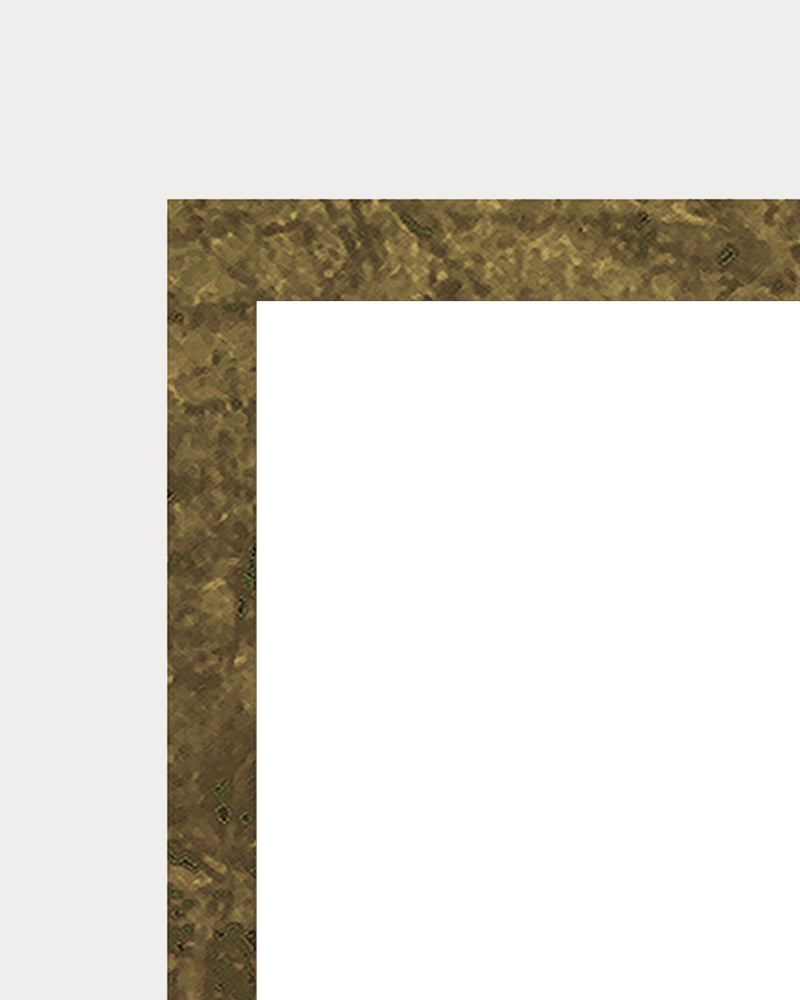 40x50cm Bronze frame / white mount
