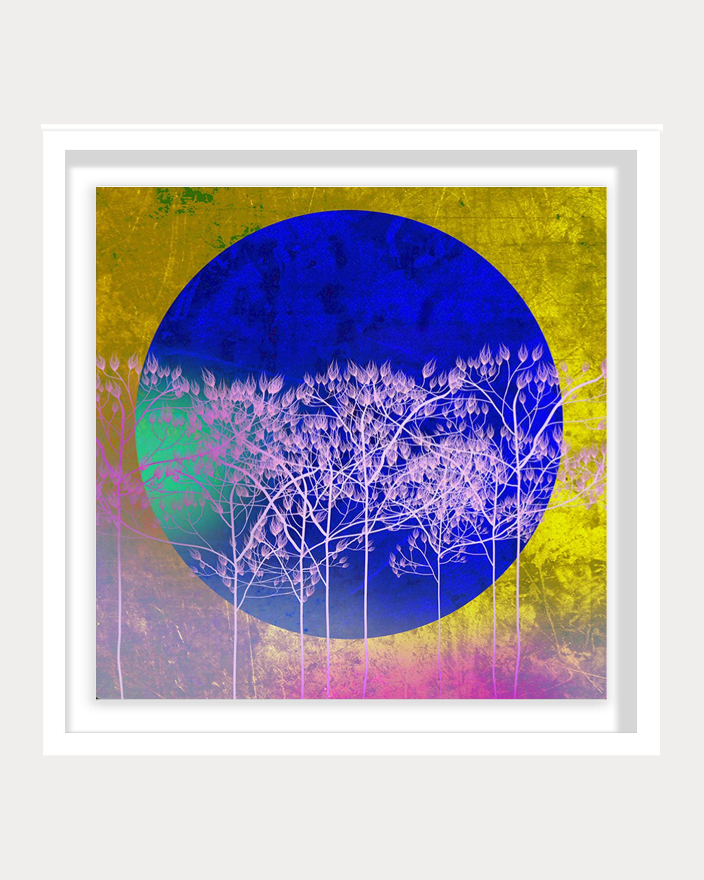 Luna Blue