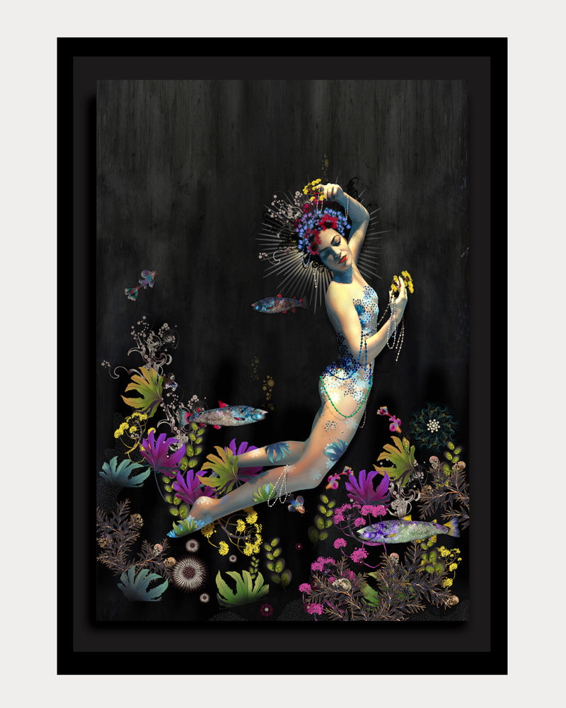 Siren Song