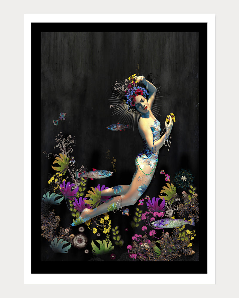 Siren Song