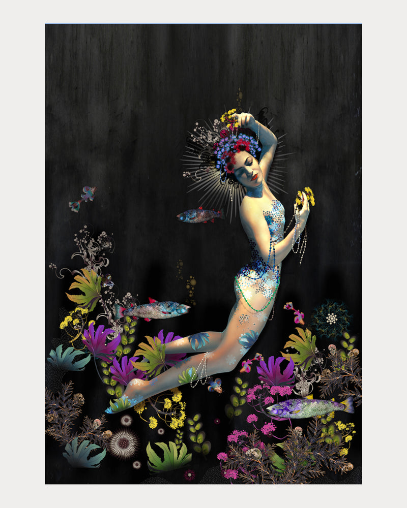 Siren Song