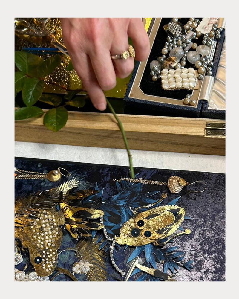 Cabinet of Curiosities Workshop - Friday 12 December