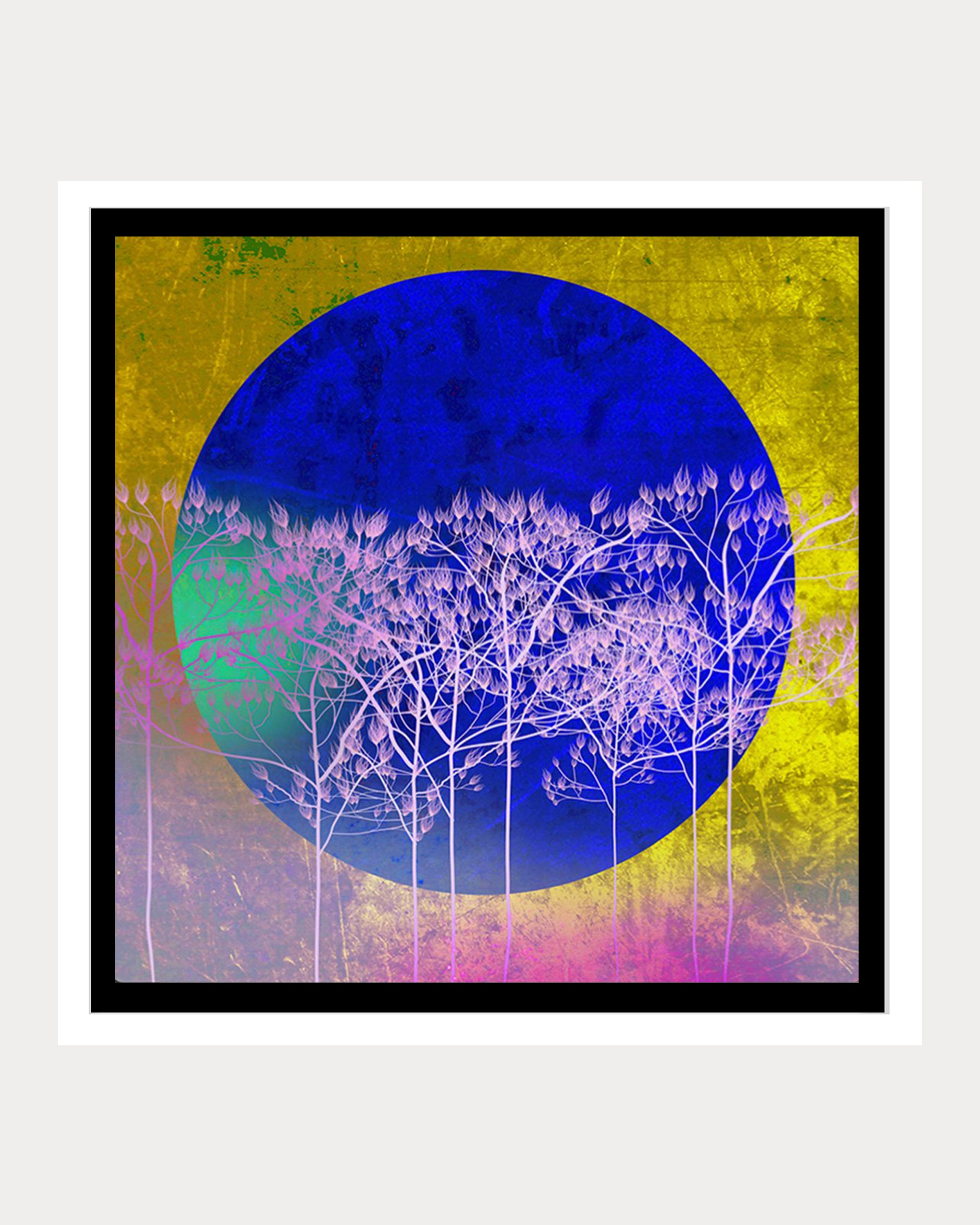 Luna Blue