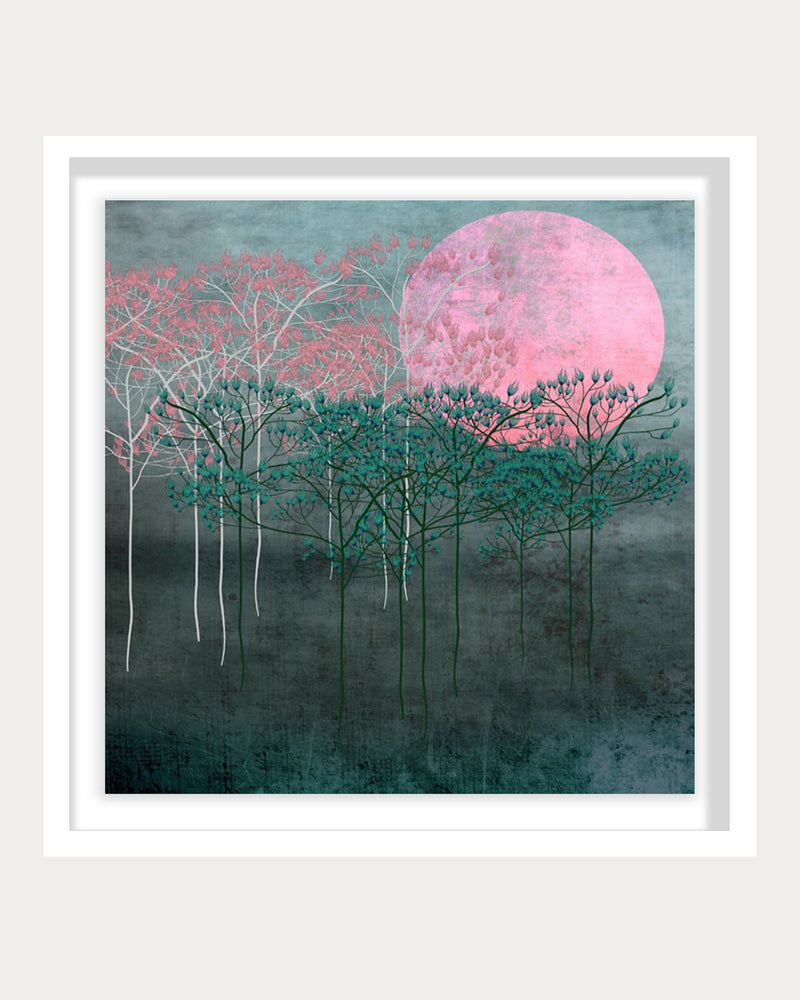 Pink Moon
