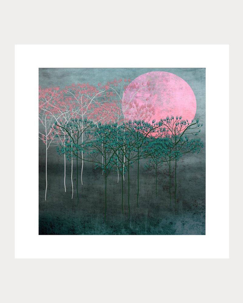 Pink Moon