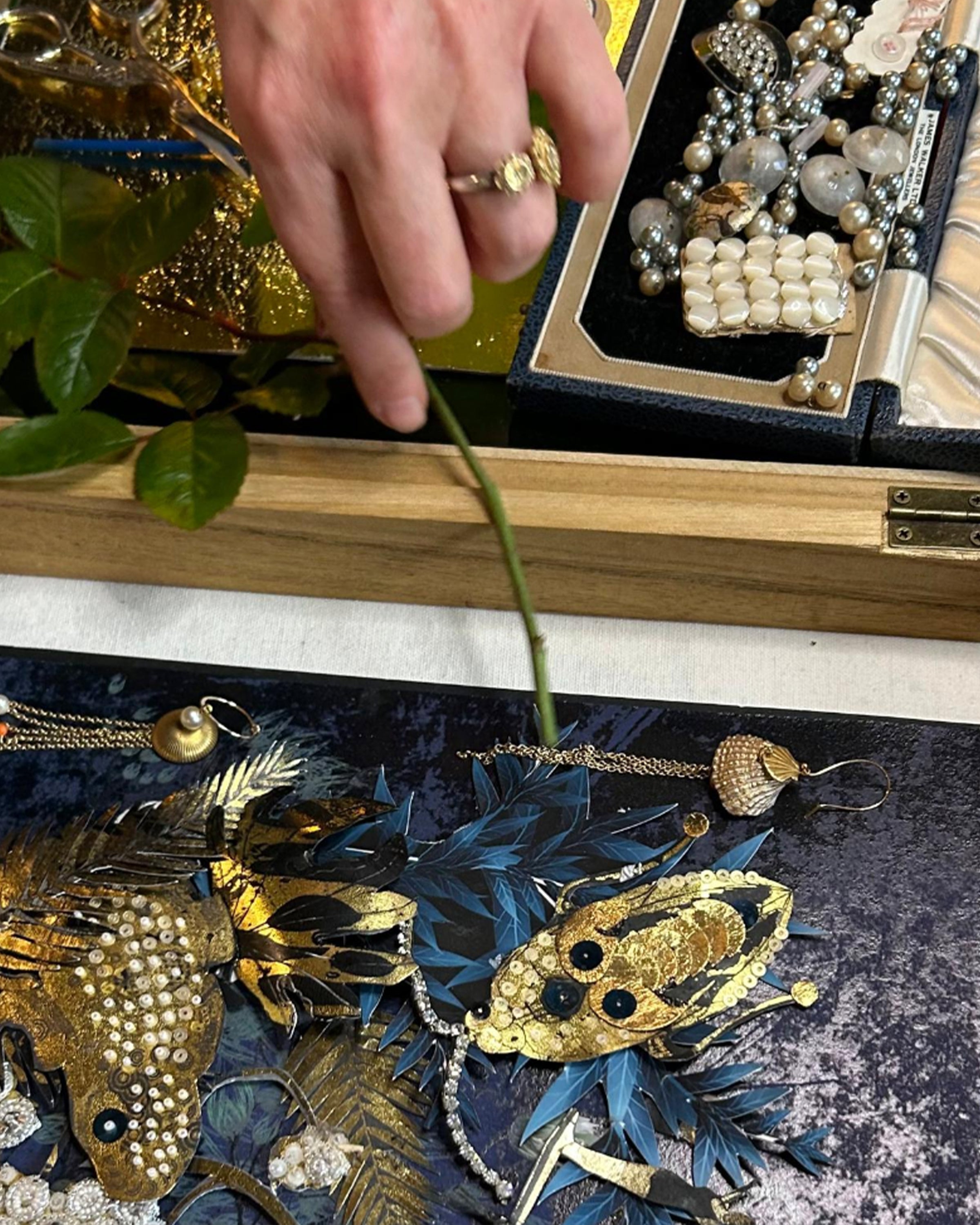 Cabinet of Curiosities Workshop - Friday 12 December