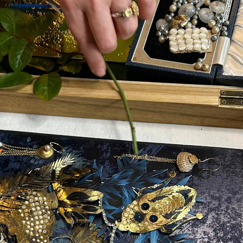 Cabinet of Curiosities Workshop - Friday 12 December